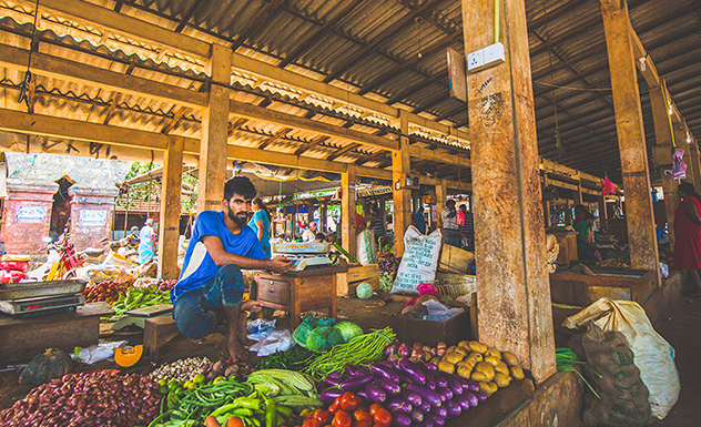 Depths of Jaffna - Experience - Sri Lanka In Style